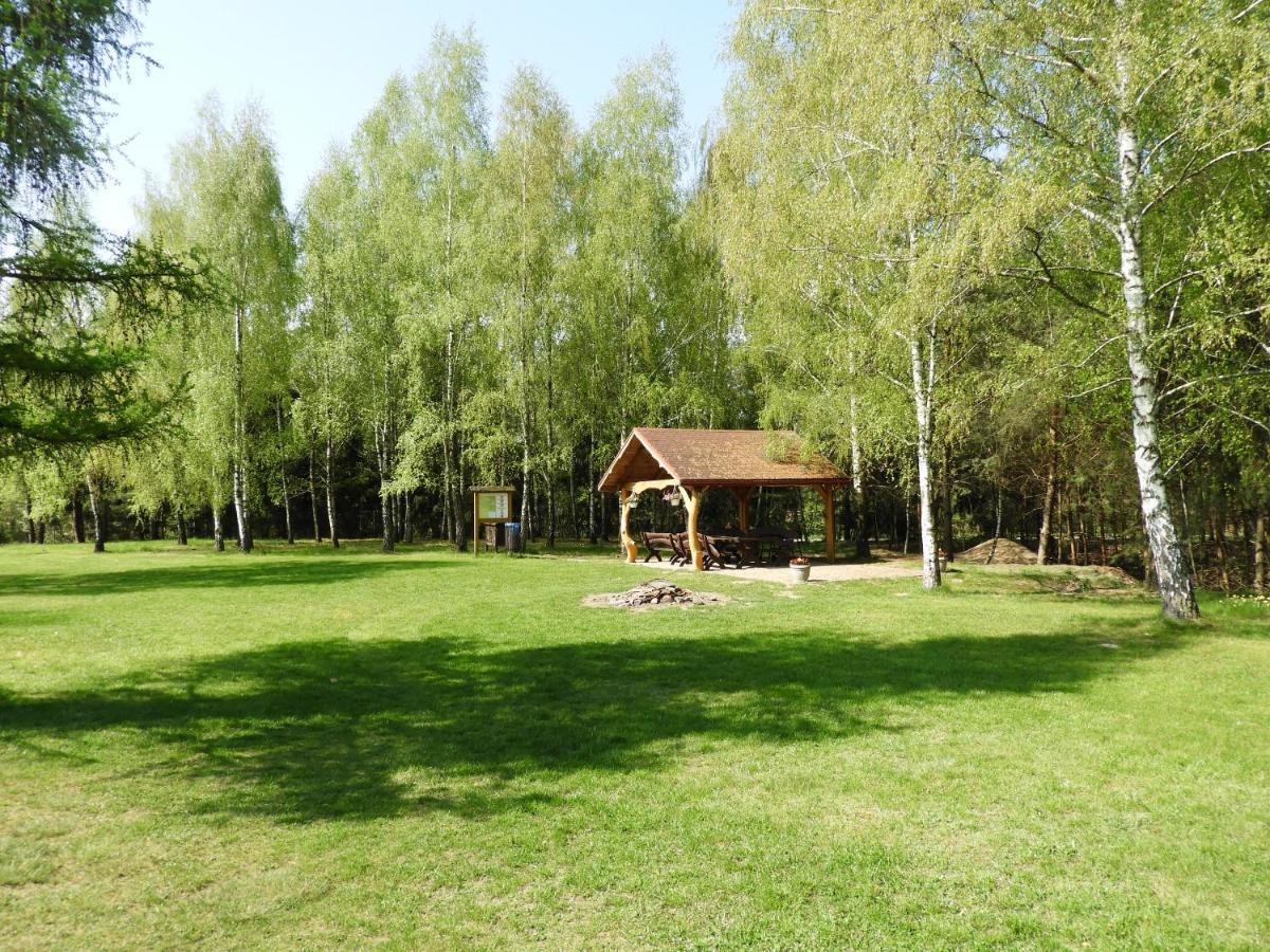 Dom Nasutow Villa Niemce Exteriör bild